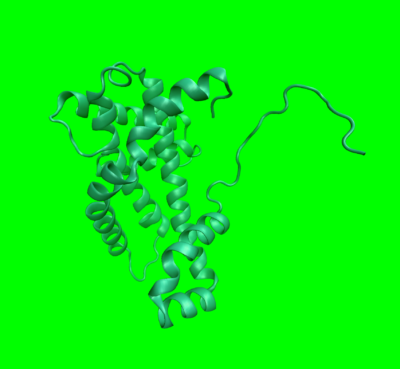 A 3D-rendered image of a protein structure with multiple alpha-helices and loops, displayed in green against a bright green background.